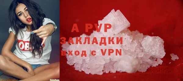 крисы Зеленокумск