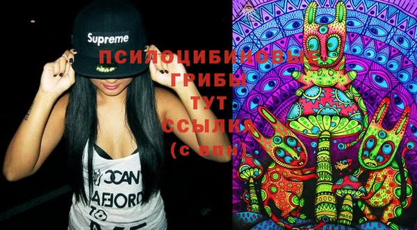 стафф Зерноград