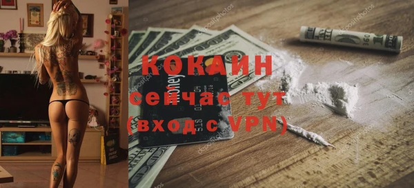 стафф Зерноград