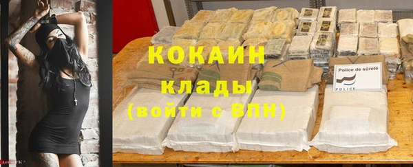 крисы Зеленокумск