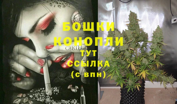 крисы Зеленокумск